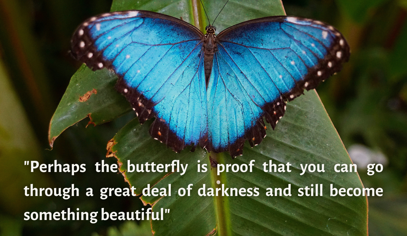 Restoration is a Journey